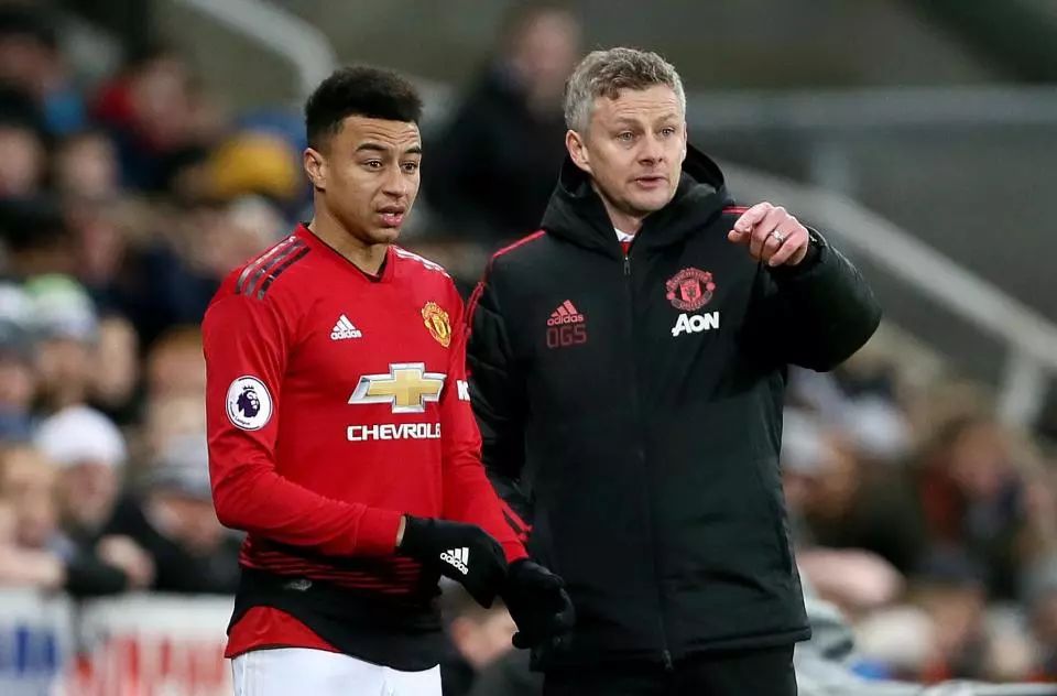 球著名的埃 球著名的埃