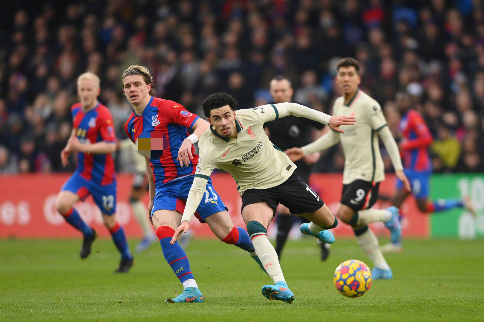 科雷亚的转 科雷亚的转