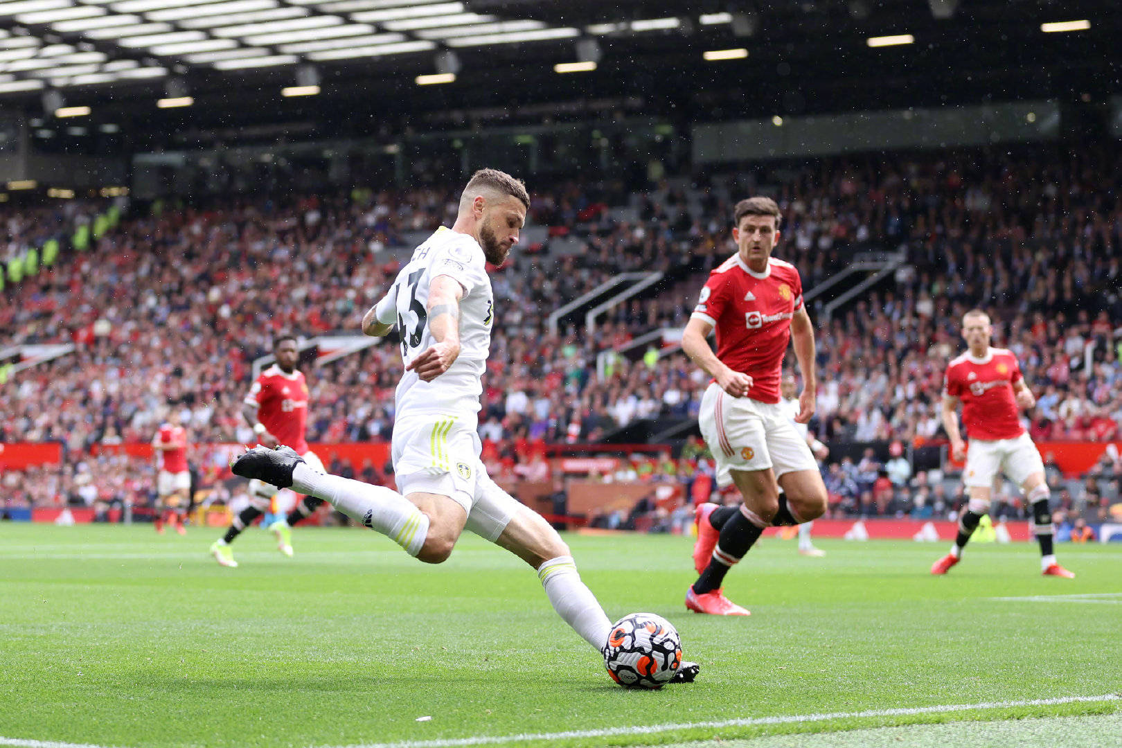 更是在为本 更是在为本